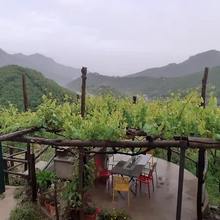 Farma La Casa In Vigna *