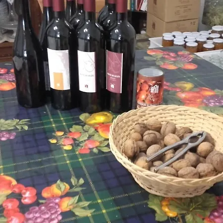 La Casa In Vigna *