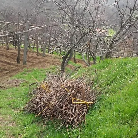 La Casa In Vigna