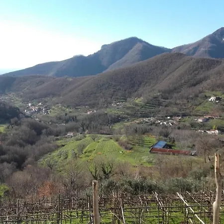 Κατάλυμα σε φάρμα La Casa In Vigna Tramonti