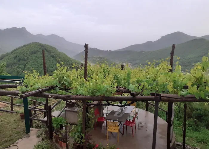 בית חווה La Casa In Vigna *