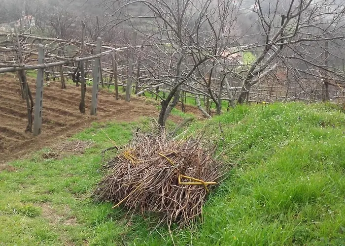 La Casa In Vigna
