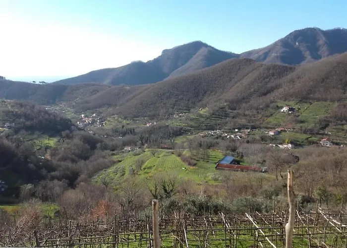 Agroturismo La Casa In Vigna Tramonti